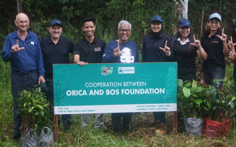 ORICA gandeng Borneo Orangutan Survival lestarikan habitat orangutan
