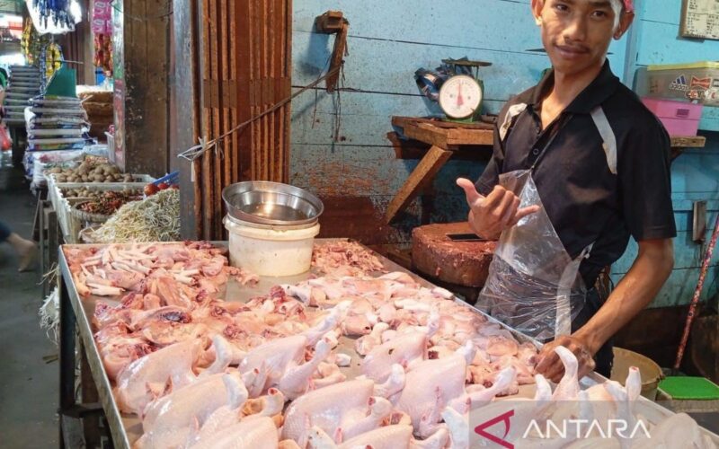 Cara marinasi ayam yang tepat agar terhindar dari keracunan